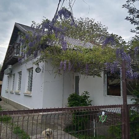 Casa Mocanu Giurgiu المظهر الخارجي الصورة
