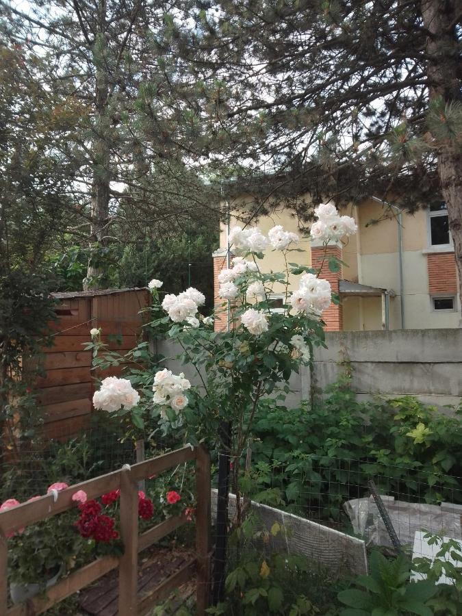 Casa Mocanu Giurgiu المظهر الخارجي الصورة