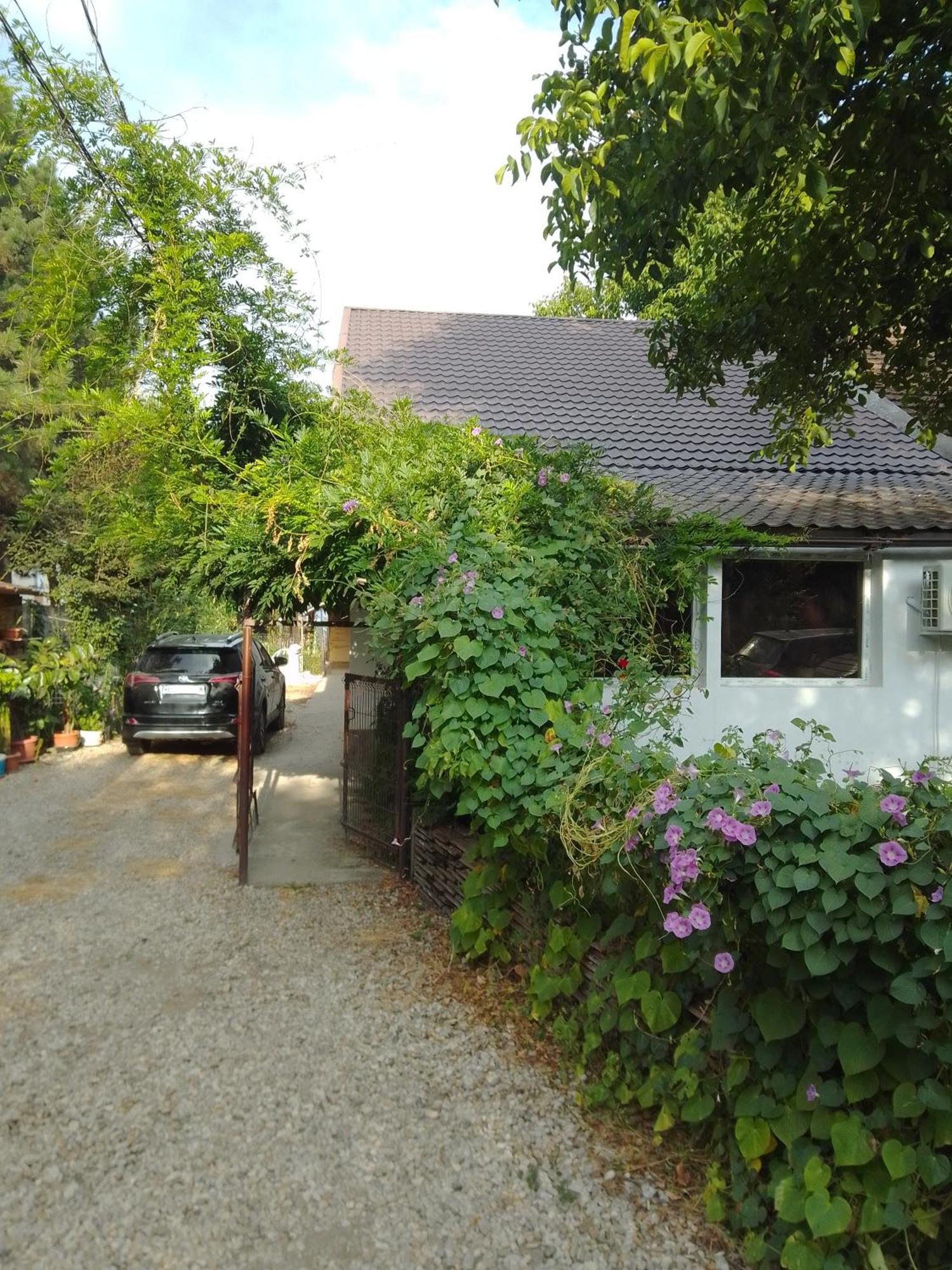 Casa Mocanu Giurgiu المظهر الخارجي الصورة